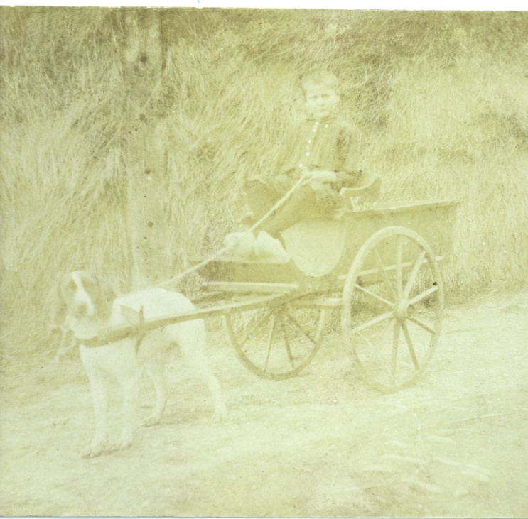 foto van johannes prins (1915-1976) op een hondenwagen